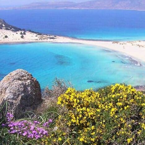 2025-06 Fokiano Bay