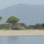 FKK Strand Spiaggia Naturista di Feraxi