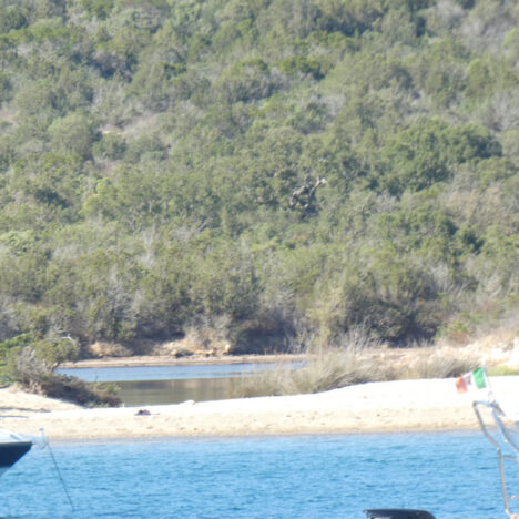2026-09 Isola Molara