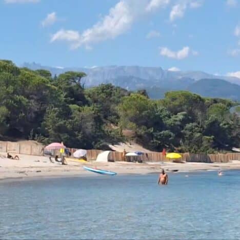 2026-08 Golfe de Pinarellu KORSIKA (FR)