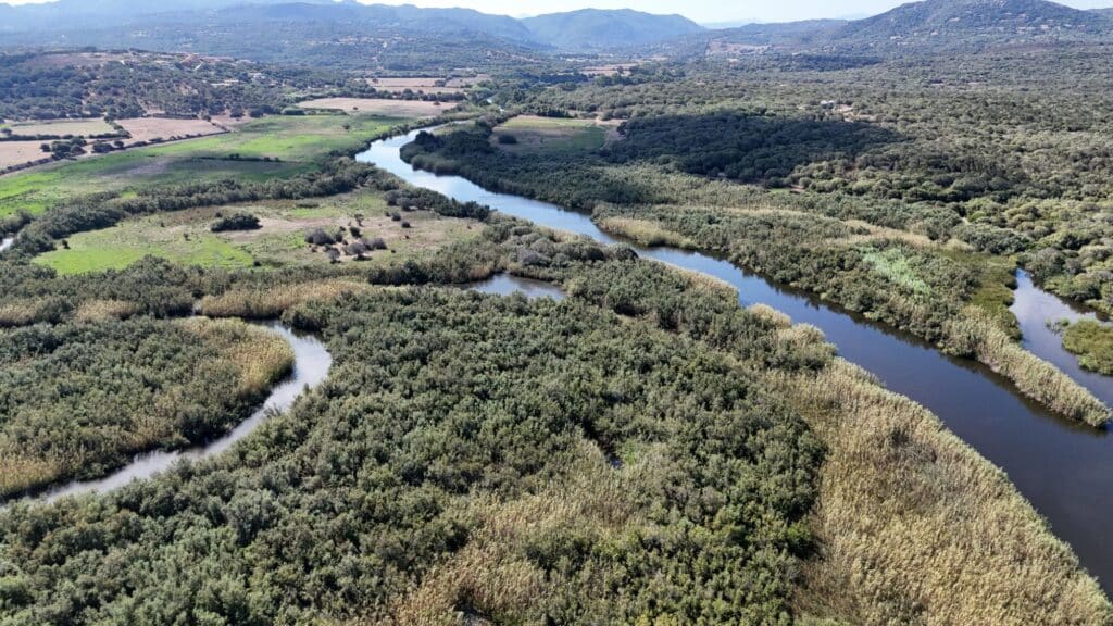 Fiume Liscia