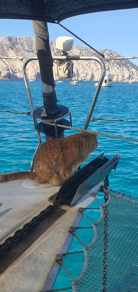 Isola Molara, Pewee bei der Ankerkontrolle