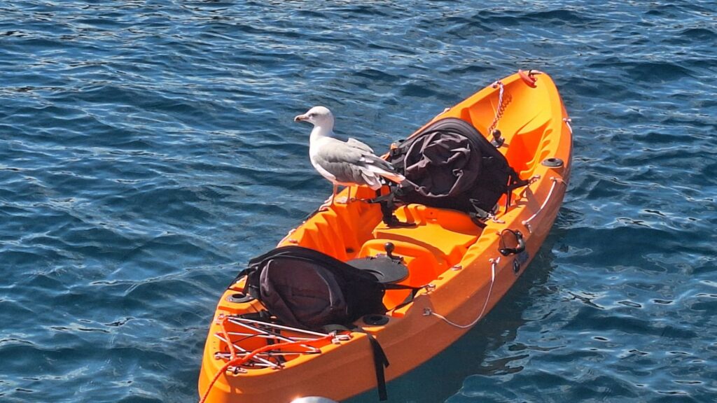 Capo Coda Cavallo