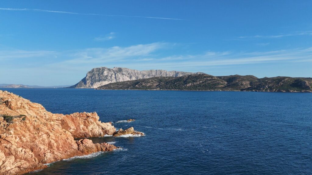 Capo Coda Cavallo